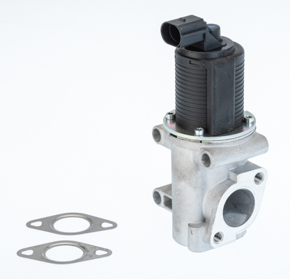 EGR Valve - 710774D BorgWarner (Wahler)