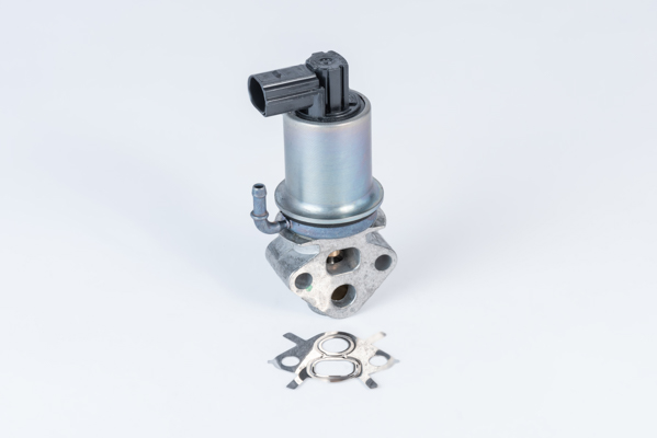 ERG vožtuvas - 710788D0 BorgWarner (Wahler)