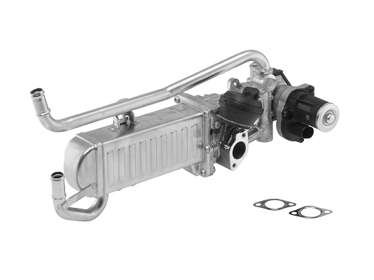 Modulo EGR - 710862D BorgWarner (Wahler)