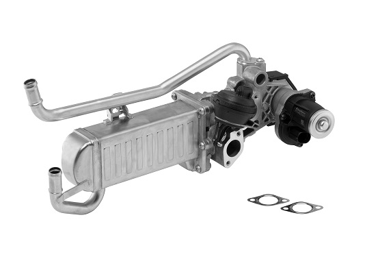 ERG modulis - 710863D BorgWarner (Wahler)