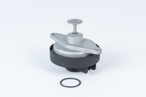 ERG vožtuvas - 710920R BorgWarner (Wahler)