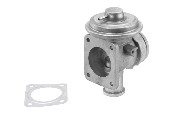 Valvola ricircolo gas scarico-EGR - 710921R BorgWarner (Wahler)