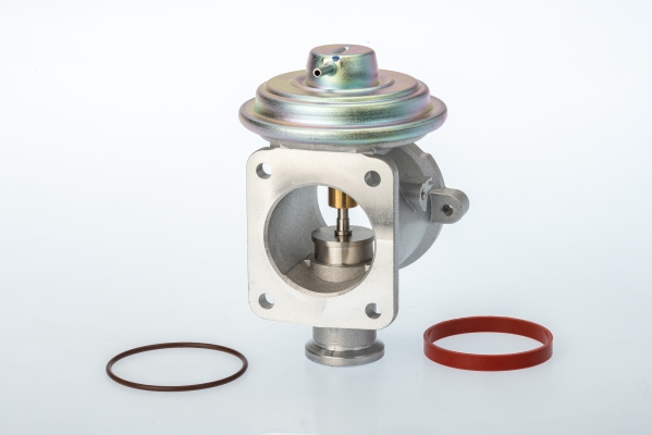 EGR Valve - 710924D BorgWarner (Wahler)