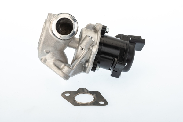 EGR Valve - 710929D BorgWarner (Wahler)