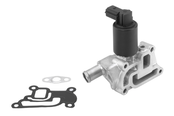 ERG vožtuvas - 710933R BorgWarner (Wahler)