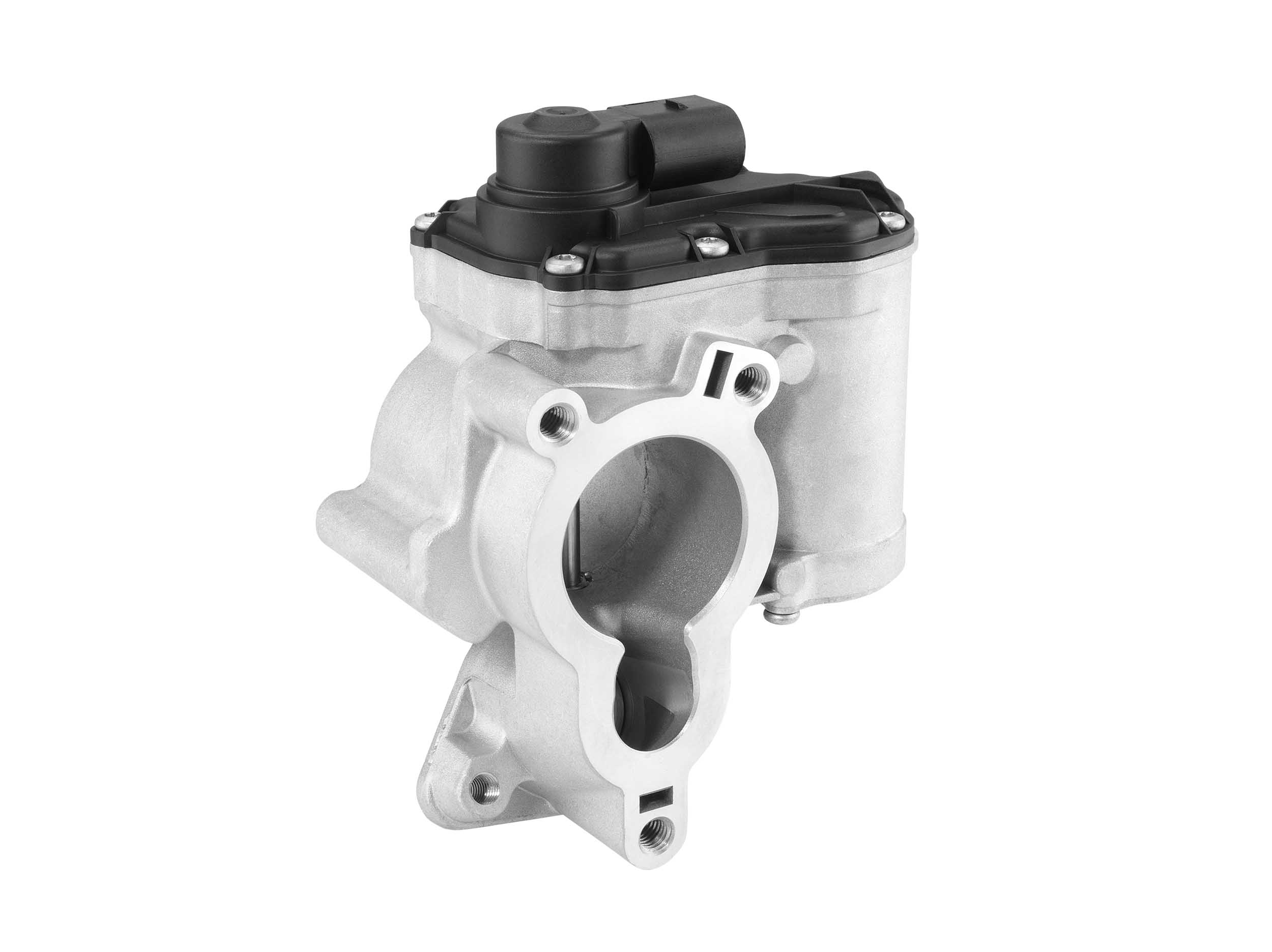 EGR Valve - 710939D BorgWarner (Wahler)