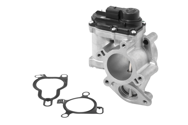ERG vožtuvas - 710939R BorgWarner (Wahler)