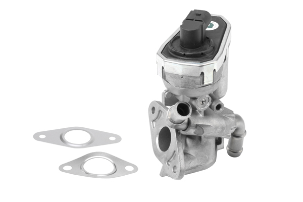 EGR Valve - 710941R BorgWarner (Wahler)