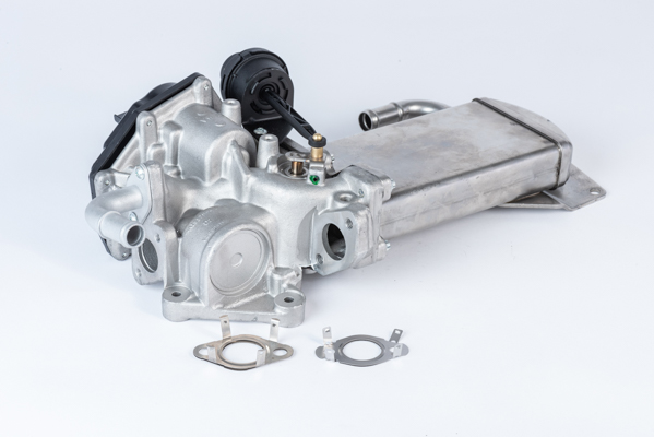 EGR Valve - 710946R BorgWarner (Wahler)