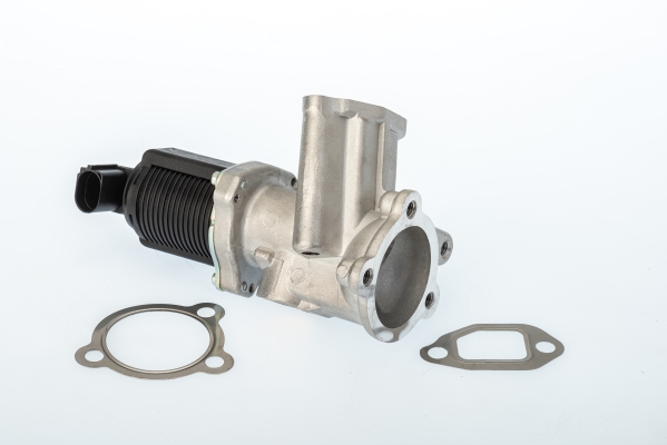 EGR Valve - 710949D BorgWarner (Wahler)