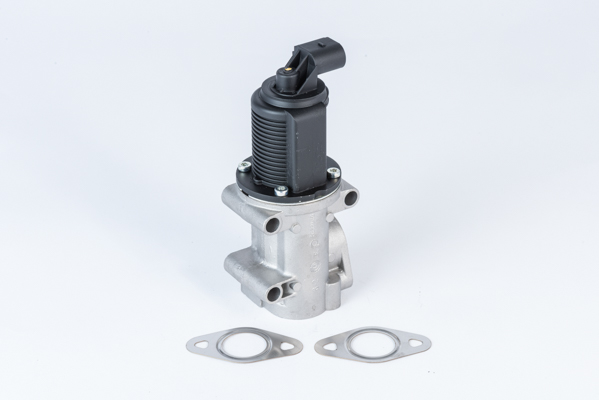 EGR Valve - 710952R BorgWarner (Wahler)