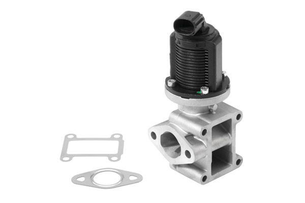 EGR Valve - 710954R BorgWarner (Wahler)