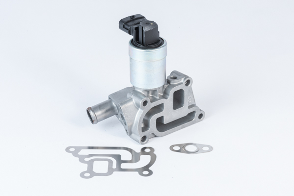 Valvola ricircolo gas scarico-EGR - 710957R BorgWarner (Wahler)