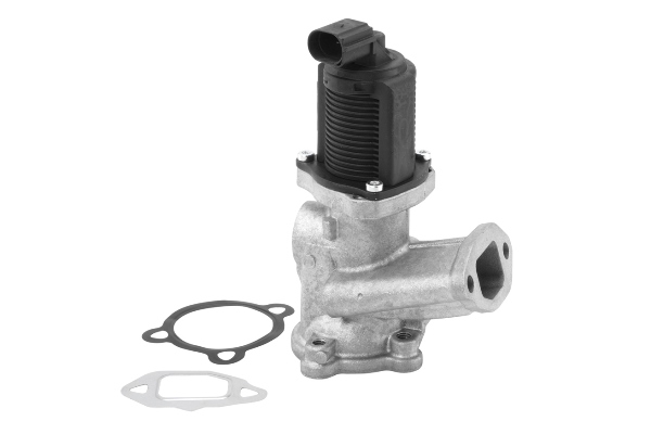 EGR Valve - 710958R BorgWarner (Wahler)