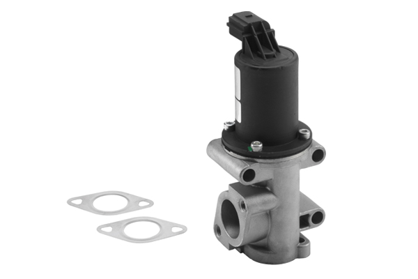 ERG vožtuvas - 710960R BorgWarner (Wahler)