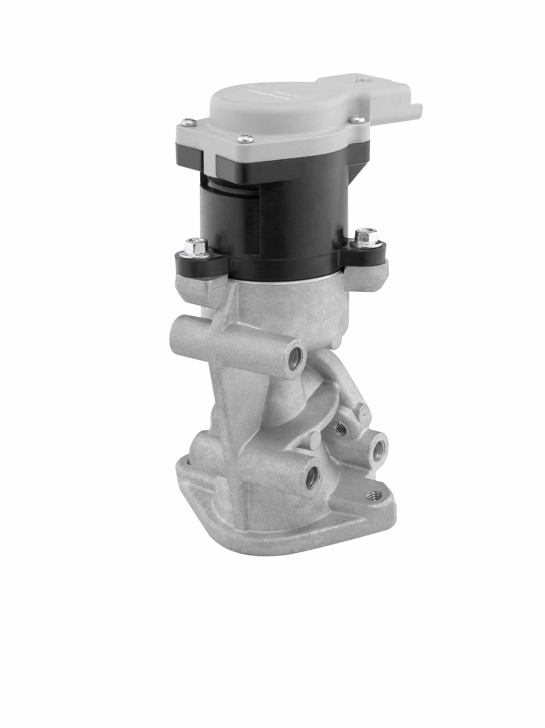 EGR Valve - 710976D BorgWarner (Wahler)