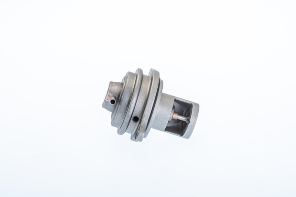 EGR Valve - 710983R BorgWarner (Wahler)