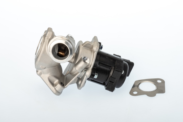 EGR Valve - 711020D BorgWarner (Wahler)