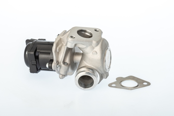 EGR Valve - 711021D BorgWarner (Wahler)
