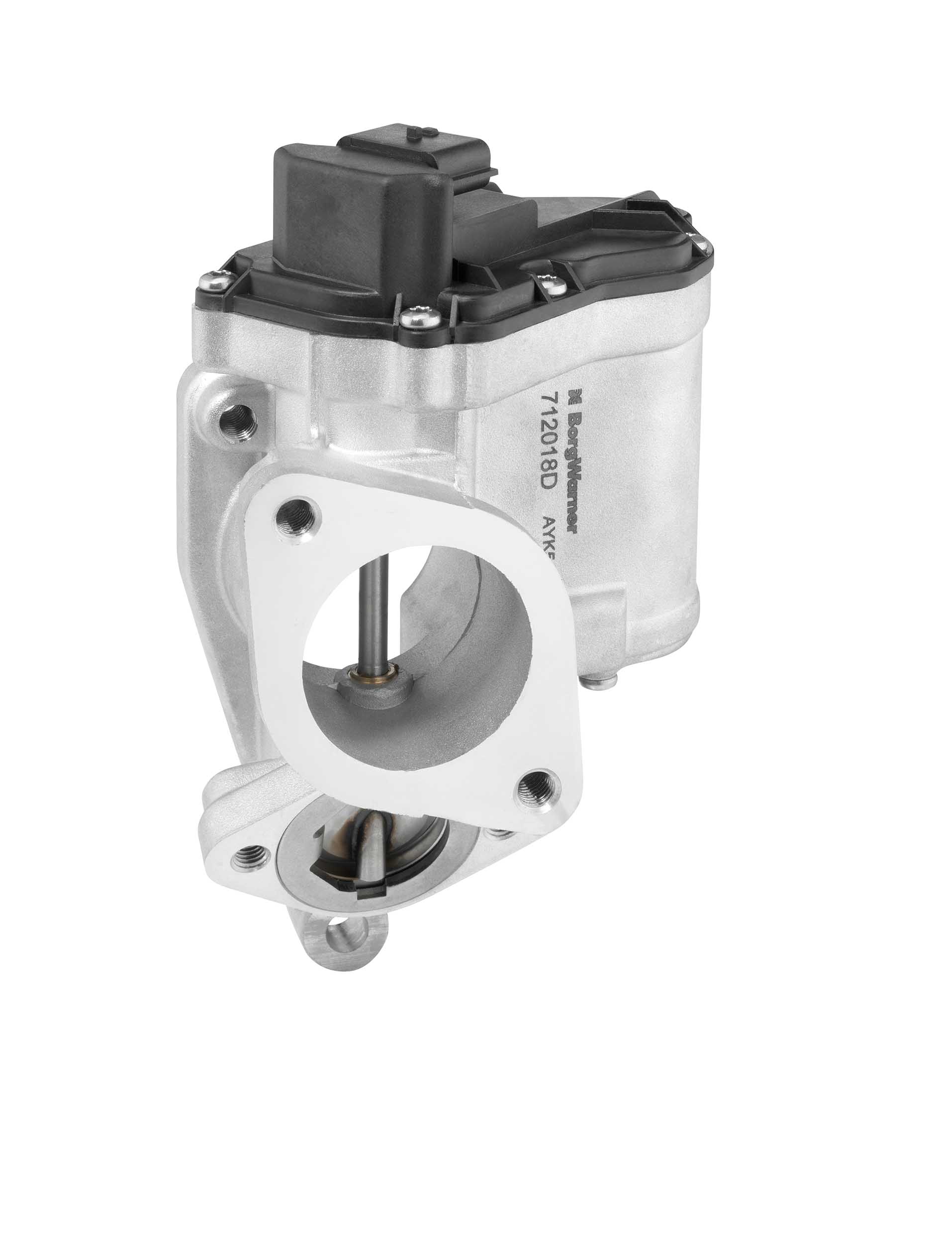EGR Valve - 712018D BorgWarner (Wahler)