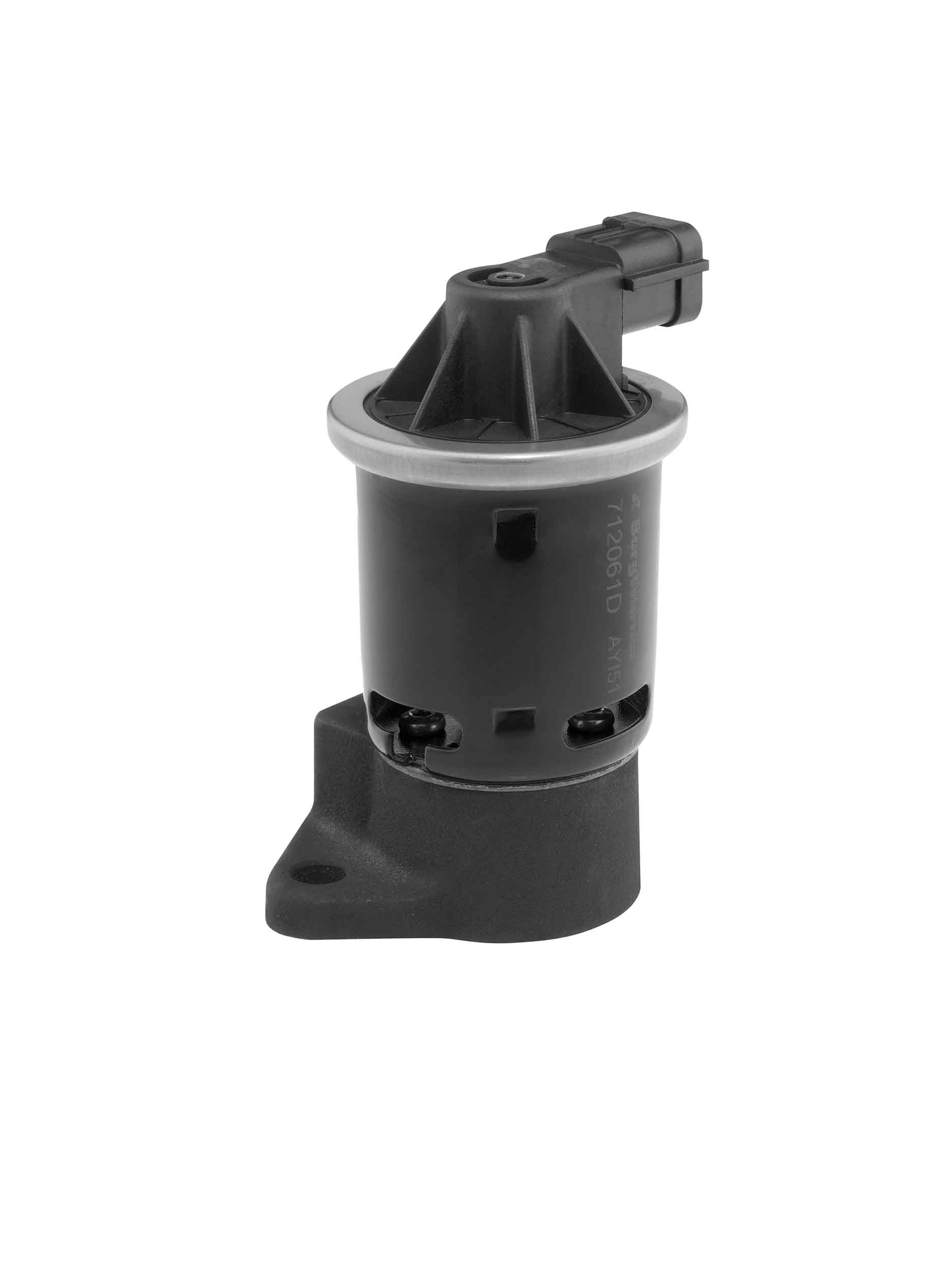 EGR Valve - 712061D BorgWarner (Wahler)
