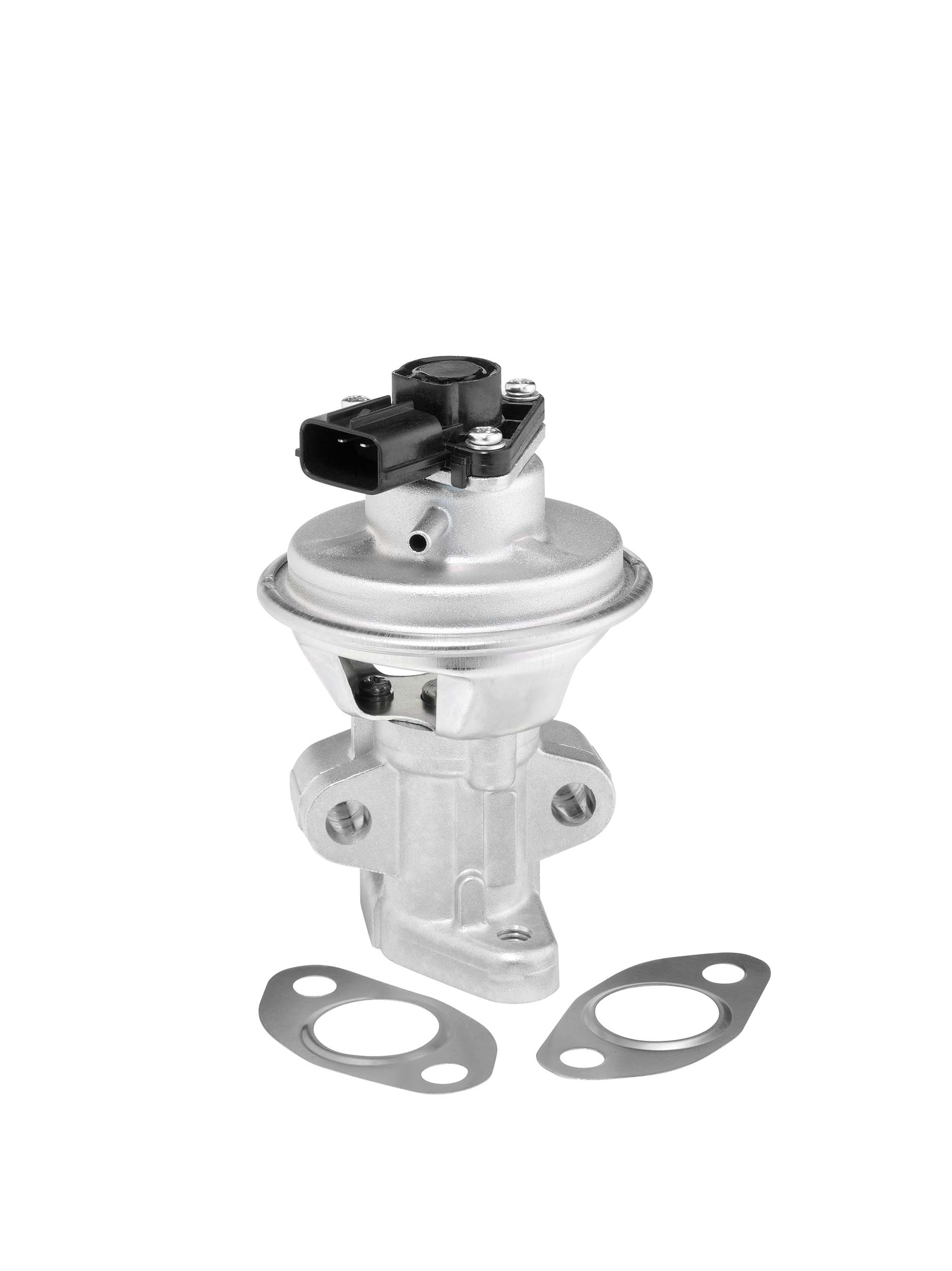 EGR Valve - 712063D BorgWarner (Wahler)