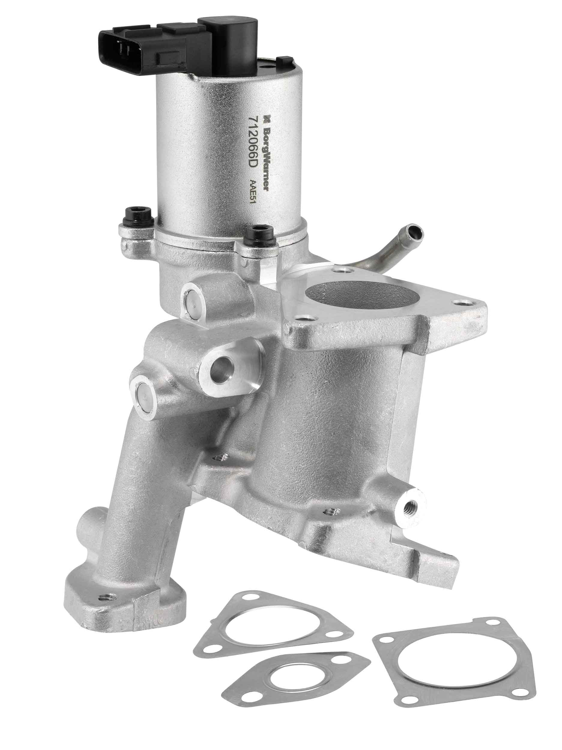 EGR Valve - 712066D BorgWarner (Wahler)