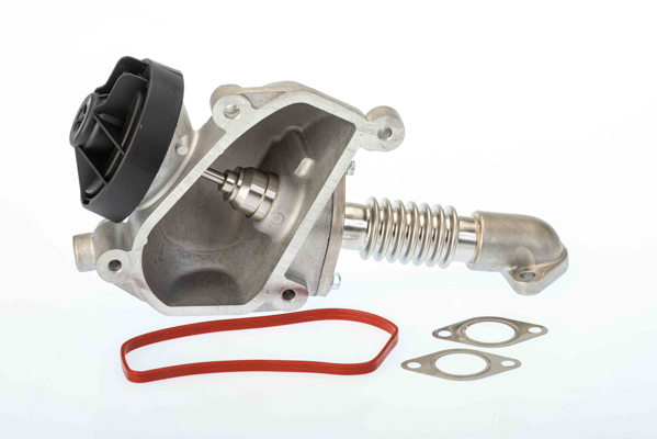 EGR Valve - 7206D BorgWarner (Wahler)