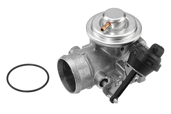 EGR Valve - 7223D BorgWarner (Wahler)