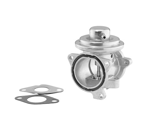 EGR Valve - 7271D BorgWarner (Wahler)