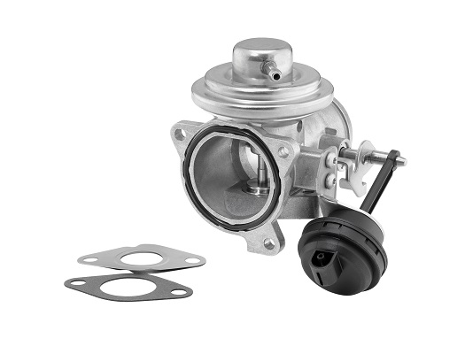 EGR Valve - 7293D BorgWarner (Wahler)