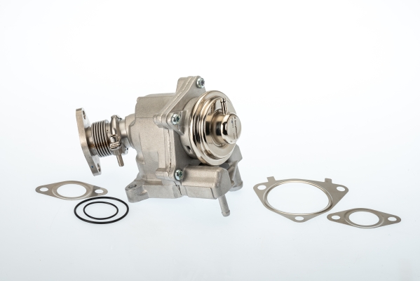 ERG vožtuvas - 7631D BorgWarner (Wahler)
