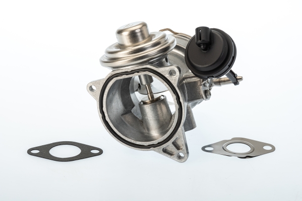 Valvola ricircolo gas scarico-EGR - 7650D BorgWarner (Wahler)
