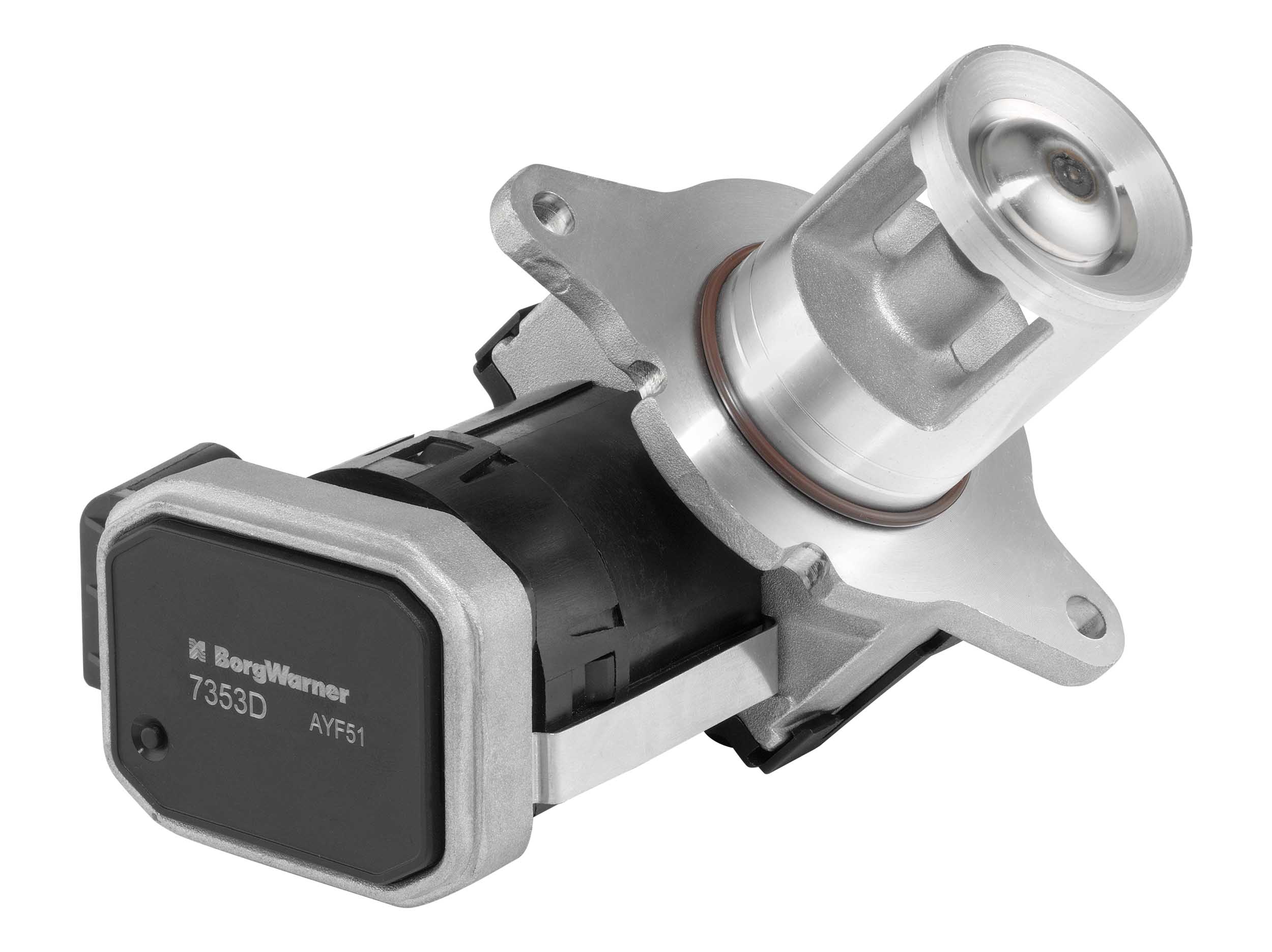 EGR Valve - 7353D BorgWarner (Wahler)