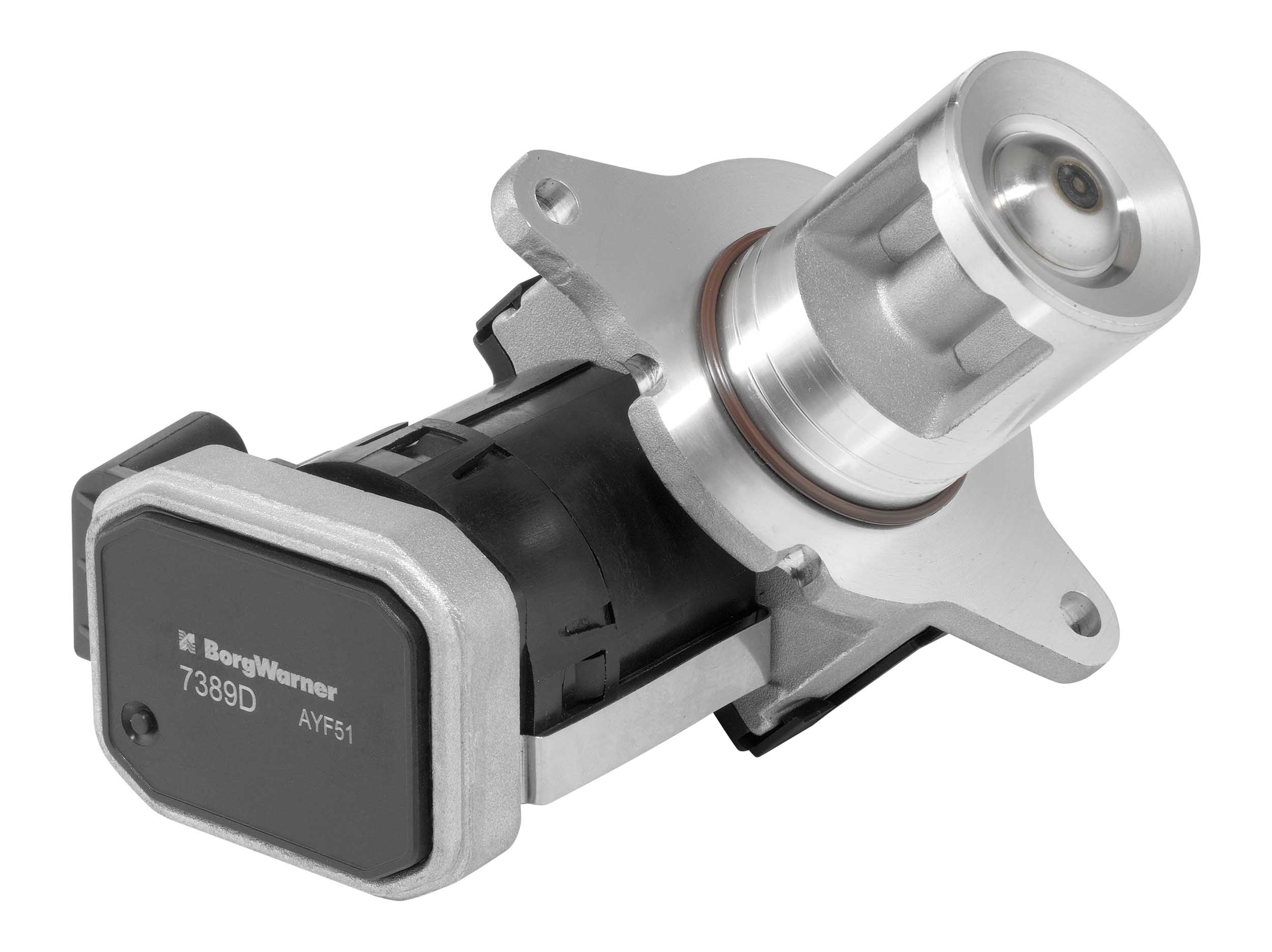 Valvola ricircolo gas scarico-EGR - 7389D BorgWarner (Wahler)