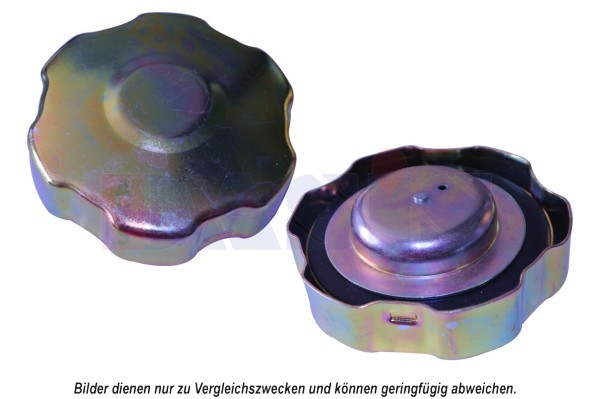 Sealing Cap, fuel tank - 750065N AKS DASIS