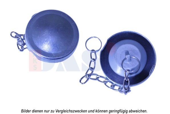 Sealing Cap, oil filling port - 750113N AKS DASIS