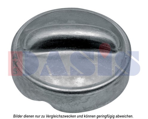 Sealing Cap, oil filling port - 750183N AKS DASIS