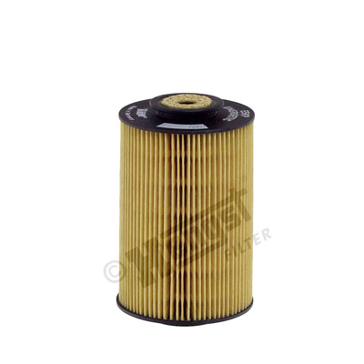 Filtro carburante - E5KP D12 HENGST FILTER