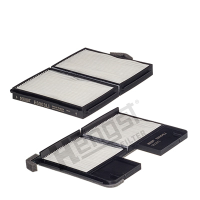 filtras, salono oras - E2934LI-2 HENGST FILTER
