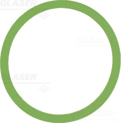 Gasket, intake manifold - X59876-01 GLASER