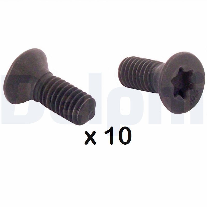 Bolt, brake disc - BGK010 DELPHI