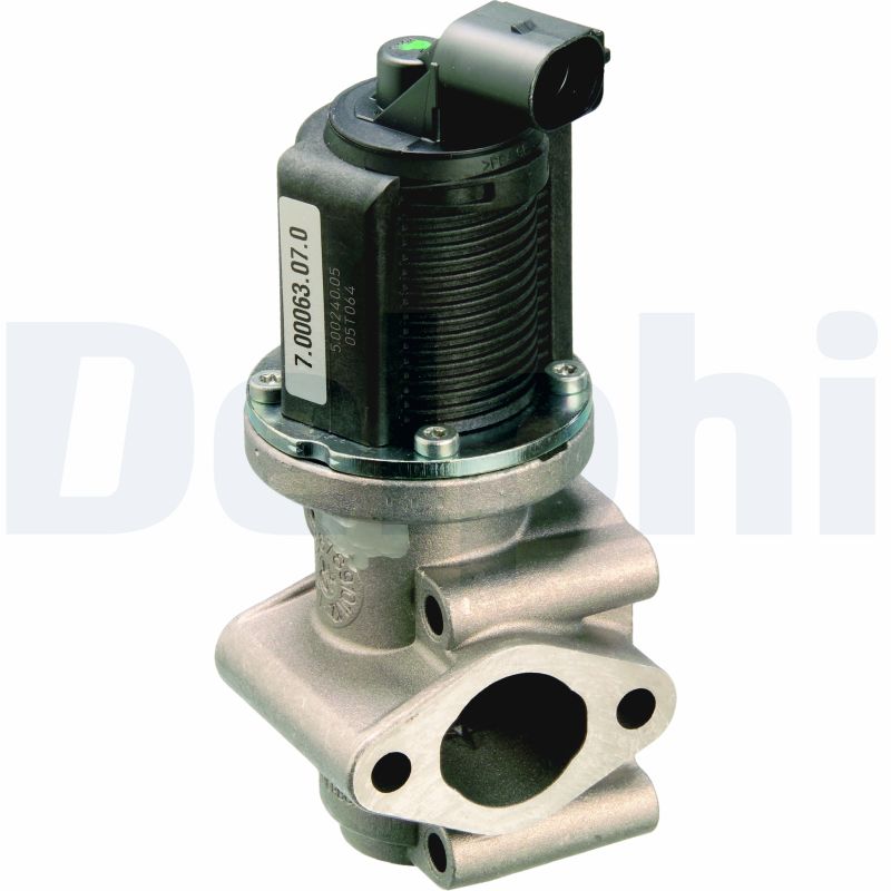 EGR Valve - EG10259-12B1 DELPHI