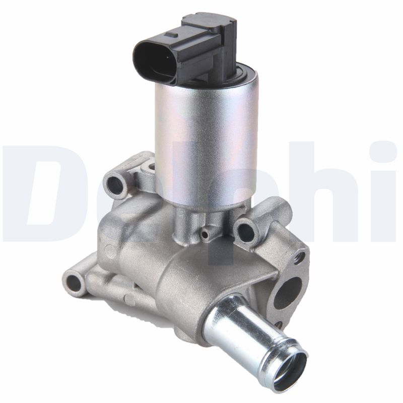 Valvola ricircolo gas scarico-EGR - EG10289-12B1 DELPHI