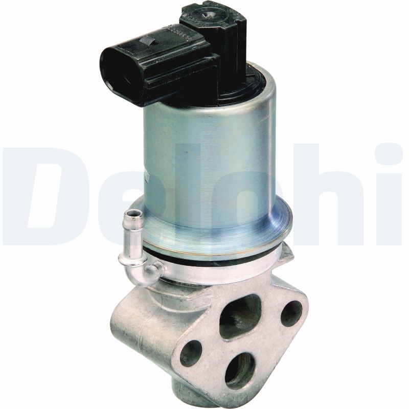 EGR Valve - EG10290-12B1 DELPHI