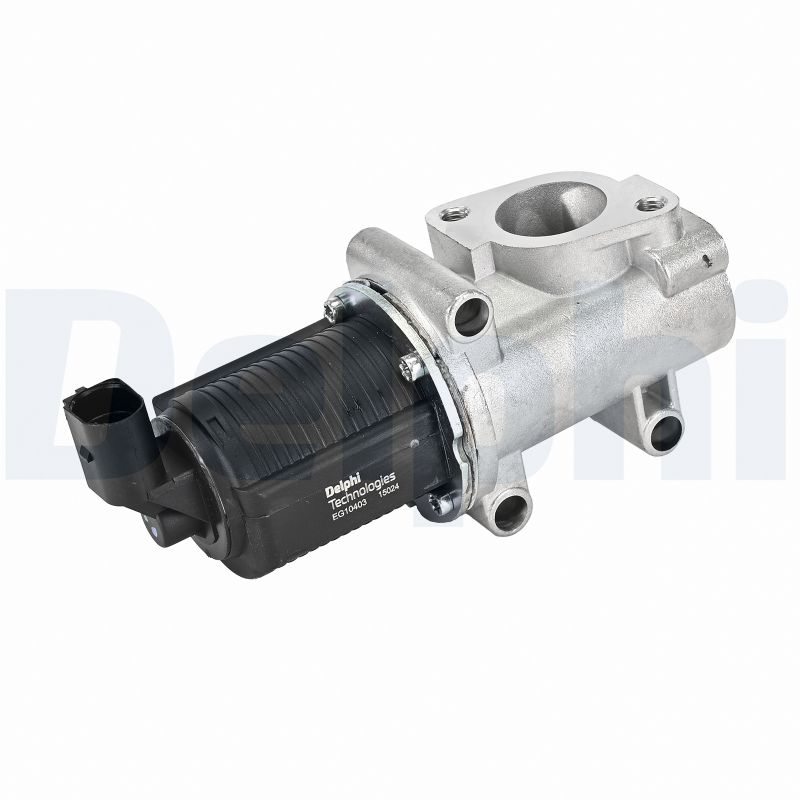 EGR Valve - EG10403-12B1 DELPHI