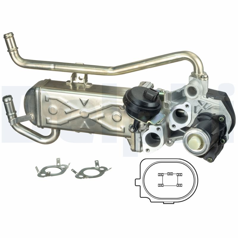 EGR Valve - EG10432-12B1 DELPHI