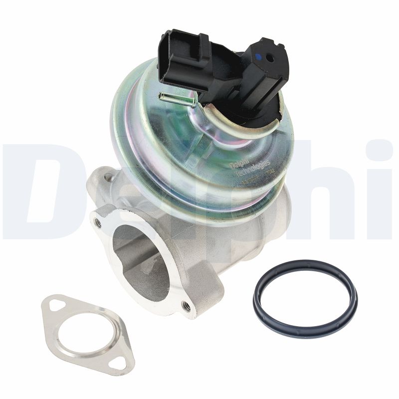 EGR Valve - EG10449-12B1 DELPHI