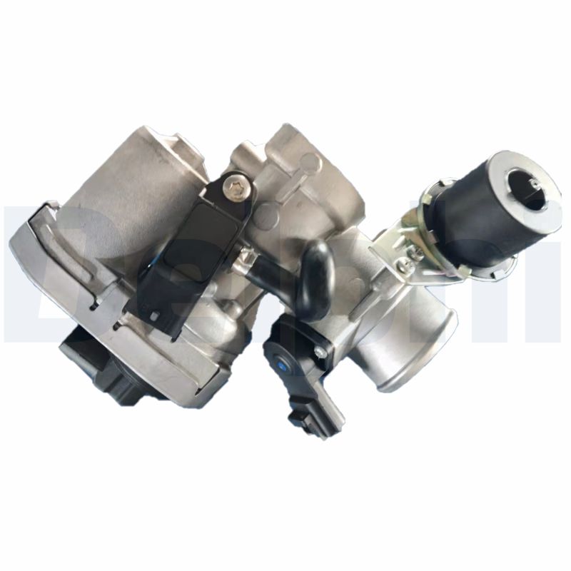 EGR Valve - EG10453-12B1 DELPHI