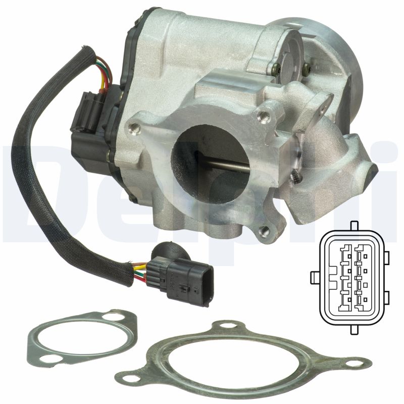 EGR Valve - EG10495-12B1 DELPHI